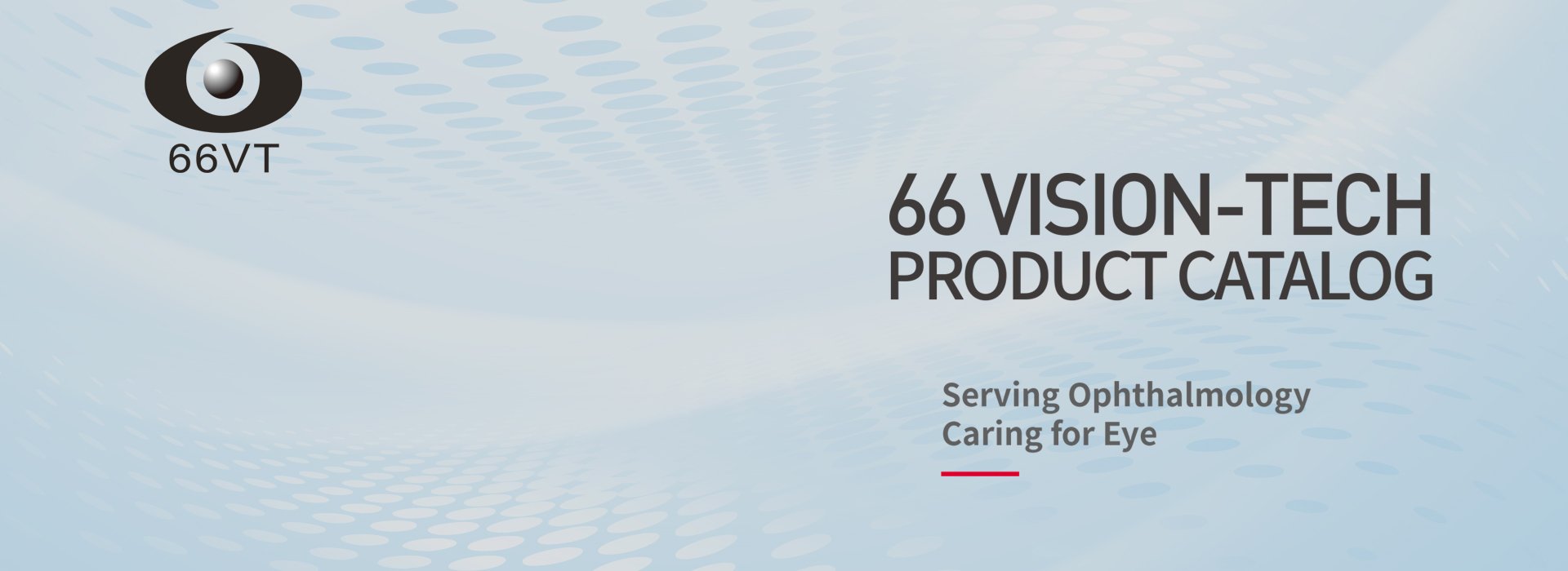 66vision Our Catalog