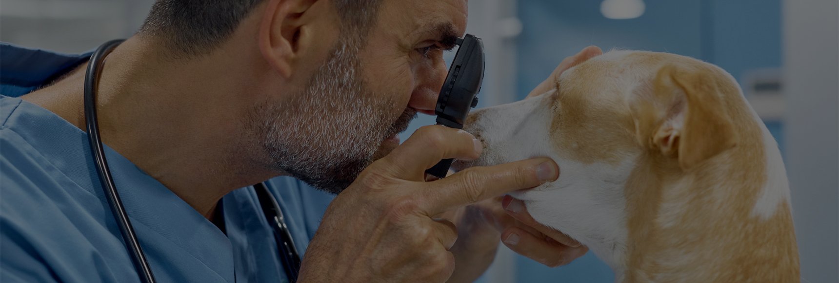 Direct ophthalmoscopes from 66 Vision