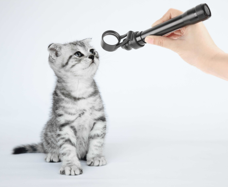 Animal eye check