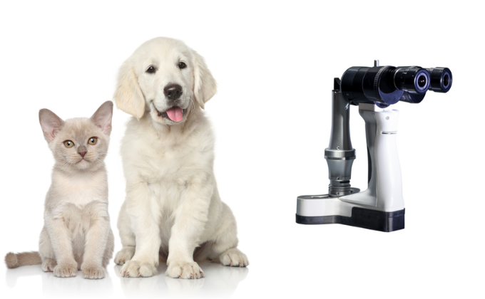 portable slit lamp for pet